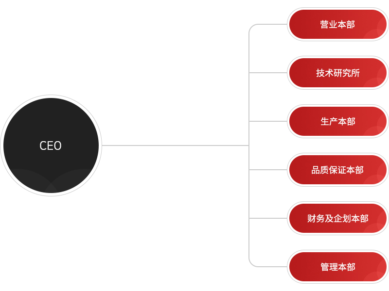 Organization도