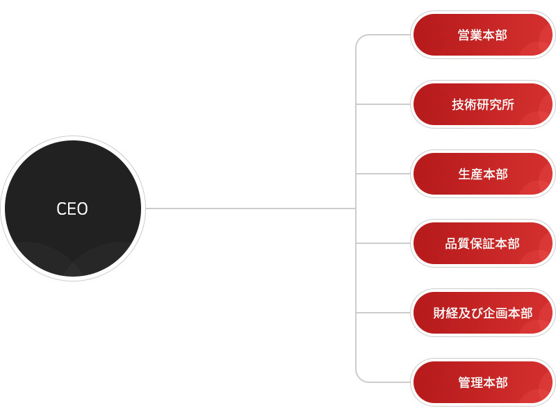 Organization도